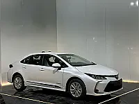 صورة 2
